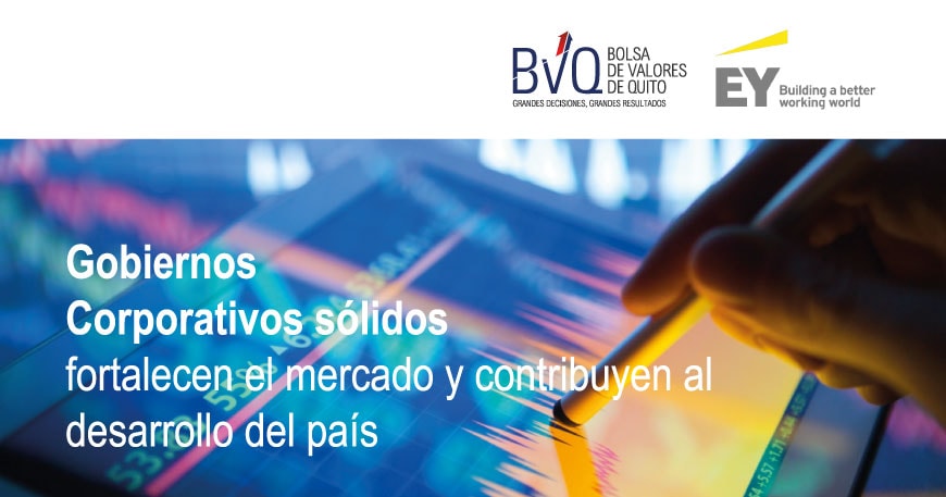 Gobiernos-Corporativos-sólidos-min (1)